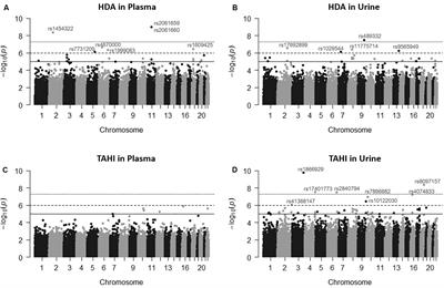 Influence of Genetic Variance on Biomarker Levels After Occupational Exposure to 1,6-Hexamethylene Diisocyanate Monomer and 1,6-Hexamethylene Diisocyanate Isocyanurate